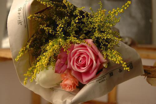 下单八百万骨灰盒后，我被打成小三程言清秦正小岚无弹窗小说免费阅读