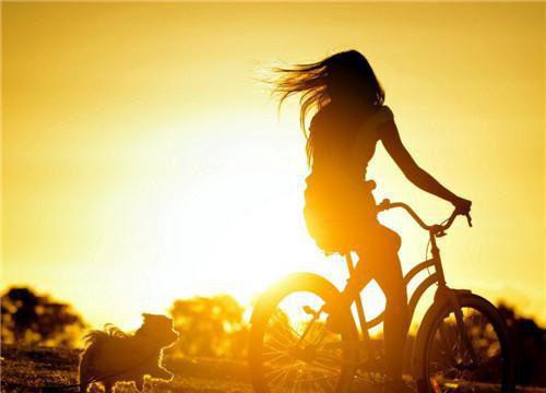 秦书瑾洛晴雨最新篇章 舞女全本免费阅读