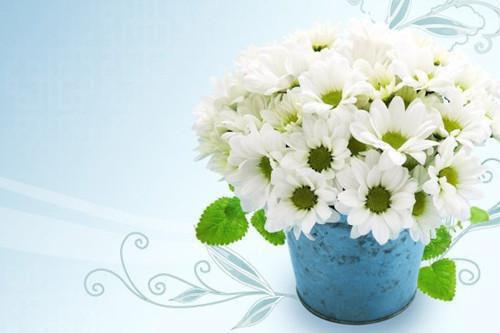 渣爹矜持点你前妻携三崽开挂了小说全文免费阅读无弹窗大结局_（陆夕柠免费阅读无弹窗）最新章节列表