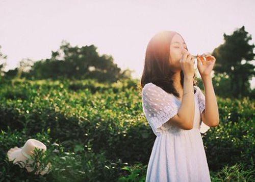 贺陌言许明月初熙全文免费大结局 贺陌言许明月初熙小说在线阅读