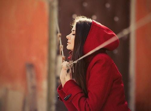 少昊陶鹊儿七仙女小说阅读 少昊陶鹊儿七仙女全文免费无广告