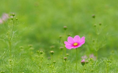 陆明璟许诗晴章节目录 丈母娘死后，老婆扬了她的骨灰小说免费阅读无弹窗