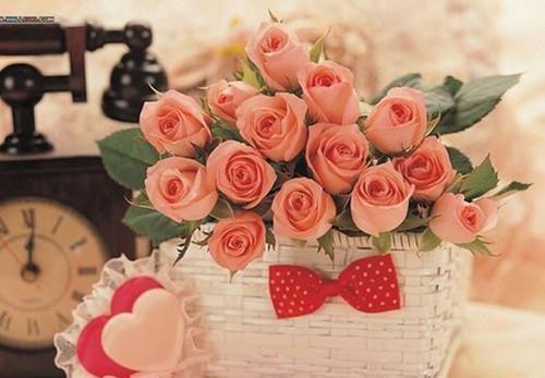 宁小月秦延礼小说章节免费阅读 宁小月秦延礼无弹窗