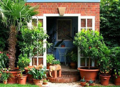 袅袅清越楚连悫楚袅袅免费章节在线阅读