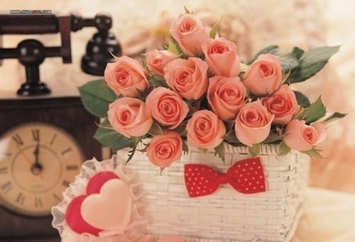 沈时葶陆九霄全文免费大结局 沈时葶陆九霄小说在线阅读