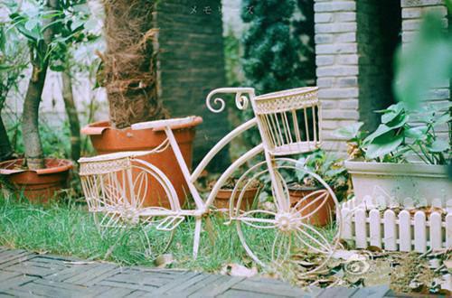 宋琳楚骁哪里可以看 宋琳楚骁免费阅读第四章