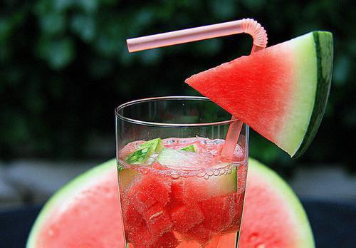 顾衡许意晚小说 顾衡许意晚完整版免费阅读