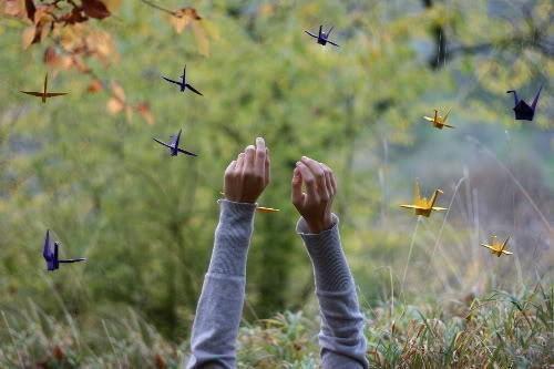 狐女为祸小说(陆之谏月儿)免费在线阅读