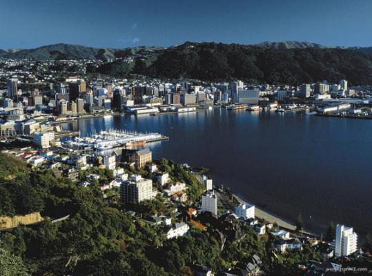 整治年下弟弟(结局) 叶澍何念念乔沅免费阅读全文