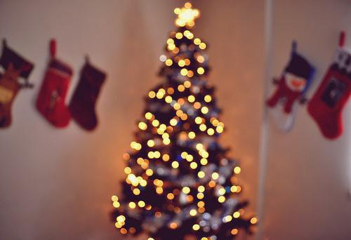 林志勤苏泽柳如烟是什么小说 林志勤苏泽柳如烟全本免费阅读