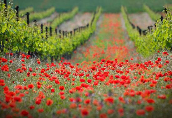 韩彬箐箐免费阅读小说 韩彬箐箐第2章