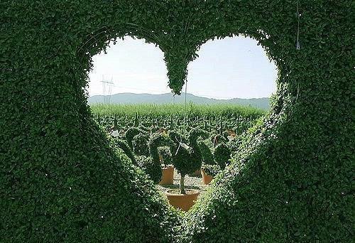 陆飞羽陆千钧小说全文 陆飞羽陆千钧小说免费阅读大结局