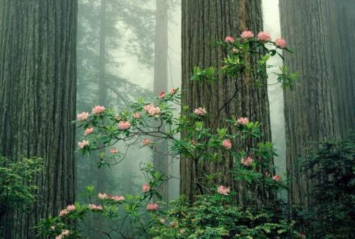 谢瑾之苏文挽免费小说 谢瑾之苏文挽完结版在线阅读