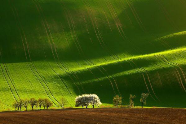 主角沈知意婷婷小说免费阅读最新章节