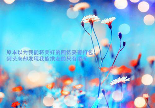 安月小说全文 安月小说免费阅读大结局