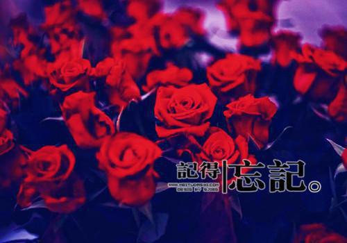 她爱上了偏执狂阮秋序傅砚珩小说在线阅读