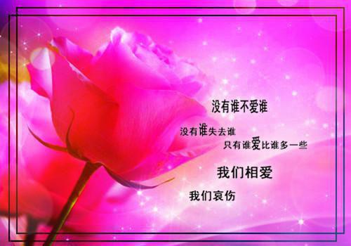 夏晨曦霍瑾年全文免费 夏晨曦霍瑾年在线阅读