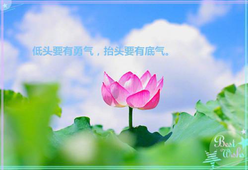 林苒歌齐深祁意小说完结版免费阅读 和闺蜜一起当海王最新章节无弹窗