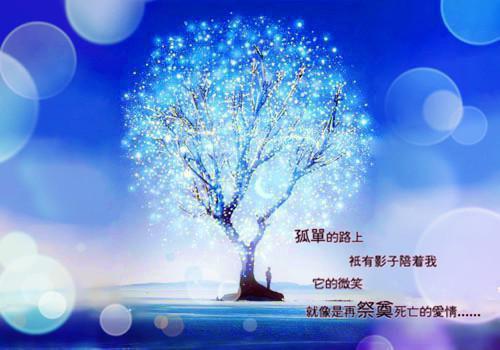 春风迎长乐贺兰徴长乐公主无弹窗小说免费阅读