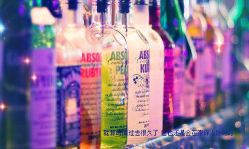 蓝鸢沈霁小说名字 蓝鸢沈霁全文免费阅读