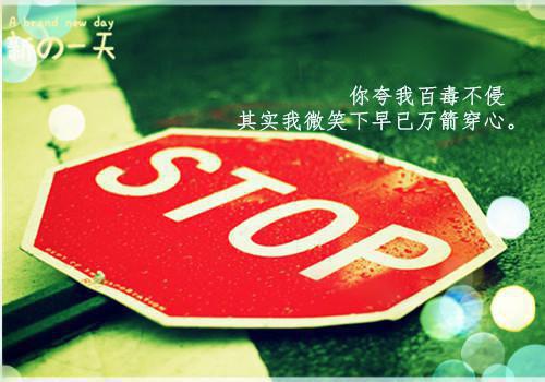 贺兰诀嘉嘉完整版 贺兰诀嘉嘉小说全文在线阅读