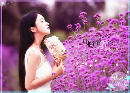 慕诗黎京墨免费小说 慕诗黎京墨在线阅读