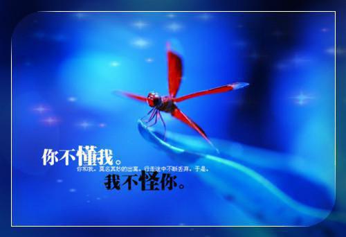 陈嫣顾妄完整未删减版在线阅读 陈嫣顾妄结局