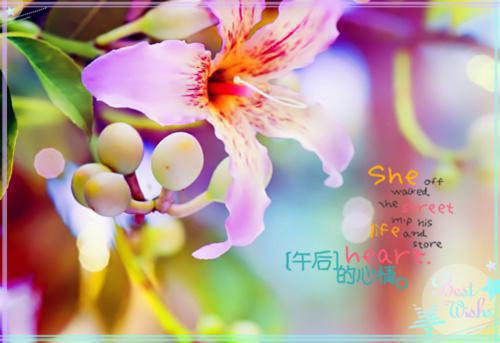 主角为陆晚凝墨行渊的小说（陆晚凝墨行渊）无弹窗大结局-陆晚凝墨行渊最新小说全文阅读最新章节列表