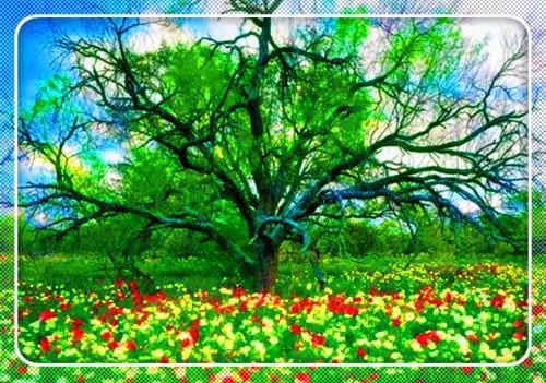 林之瑶顾寻澈完整未删减版在线阅读 林之瑶顾寻澈结局