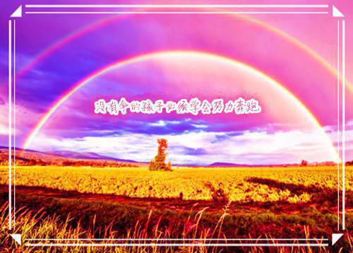 林悦韩羽萱免费章节最新 我死后，全员都疯了by佚名