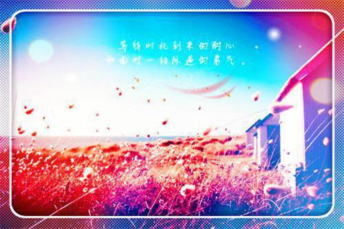 十年纠缠一场空沈安乔娜小说在线免费阅读(大结局)