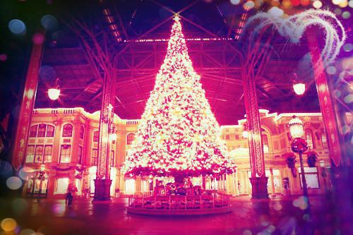 我选的驸马我来杀大结局阅读 郁仪苏玦褚芝芝小说在线章节