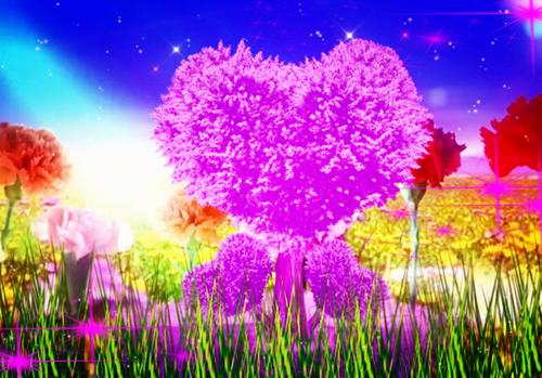 赵景琛季安安（赵景琛季安安小说）全文免费阅读无弹窗大结局_（赵景琛季安安阅读无弹窗）赵景琛季安安小说章节列表