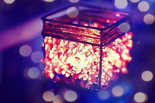 (抖音小说)沈乔安然小说全文阅读免费