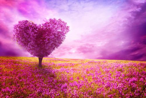 宋雪怜萧瑾年是什么小说的主人公 宋雪怜萧瑾年免费阅读