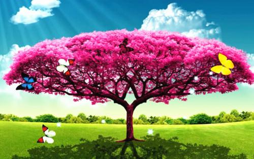 (抖音小说)陈磊免费阅读