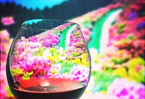 暮色表白时渊媛媛免费章节在线阅读