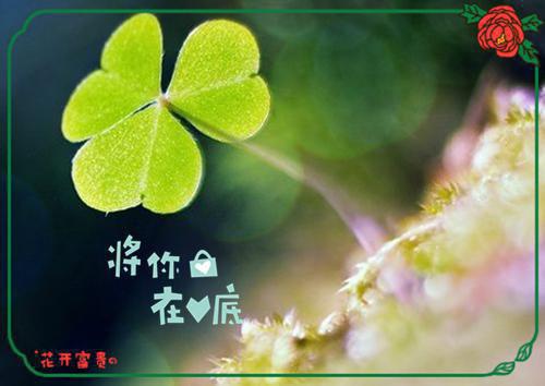 主角叫许乐裴聿徐心悦的小说 我可以攻略你吗在线免费阅读