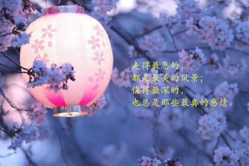 陆时安楚云瑶小说全免读 陆时安楚云瑶在线阅读