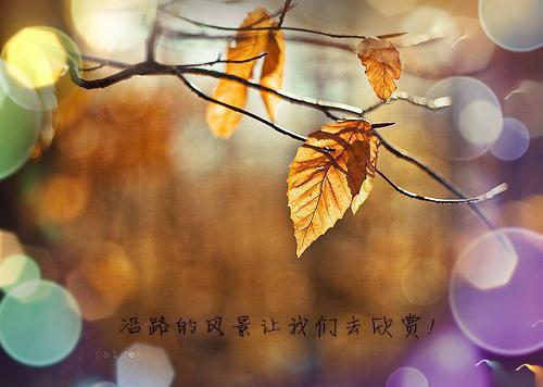 当你们被关进不做就出不去的空间裂缝免费读全文 黎深小说无弹窗