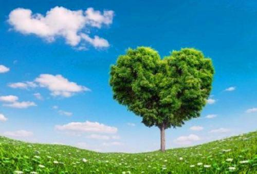 我不爱钱，更不爱你安晴林宴赵旭泽林彦免费章节试读