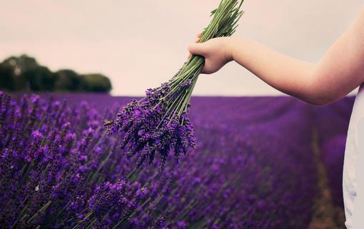 李佳佳李承东小说全文 李佳佳李承东小说免费阅读大结局