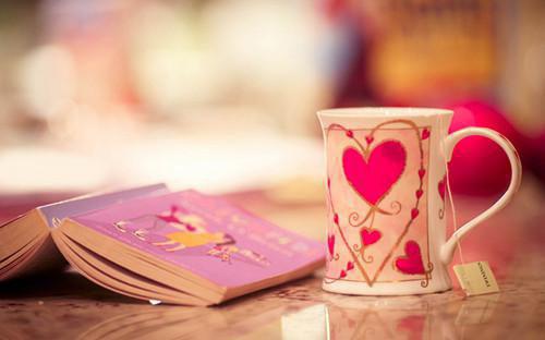 傅景靳沉主角小说叫什么 醉心念念免费阅读全文