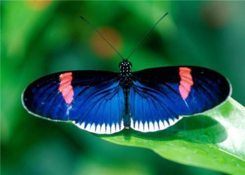 招娣天赐全文免费 招娣天赐在线阅读