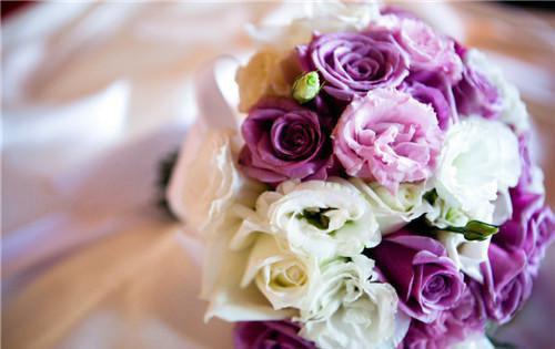 许辰林妙全文免费阅读（烟花易冷小说）全文在线许辰林妙读无弹窗大结局_（烟花易冷小说许辰林妙）烟花易冷小说最新章节列表（许辰林妙）