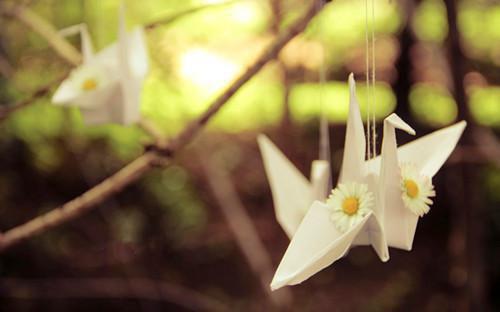 江照悬的小说 江照悬全文免费阅读