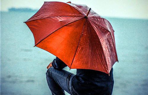 主角顾仙儿顾时三孙大千小说 顾仙儿顾时三孙大千小说全文免费阅读