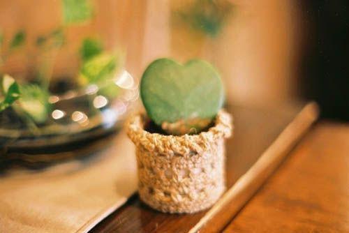 韩哲陈光耀是什么书 韩哲陈光耀免费章节在线阅读