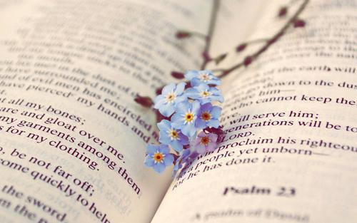 余凛轩唐幂婉《唐幂婉余凛轩小说免费阅读》完整-余凛轩唐幂婉小说（唐幂婉余凛轩）全文最新阅读