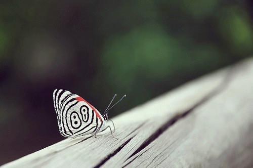 贺章林书颜全文免费阅读无弹窗-贺章林书颜小说最新章节列表